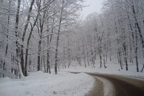 تصاویر/ جلوه گری فصل زمستان در دل طبیعت تنکابن